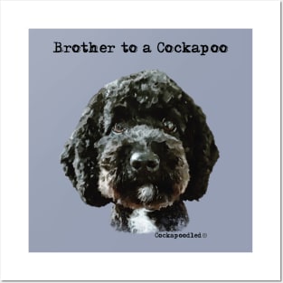 Cockapoo Dog Brother Posters and Art